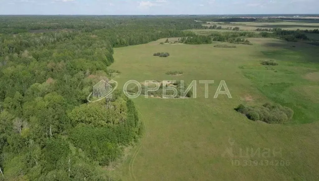 Участок в Тюменская область, Нижнетавдинский район, Моторостроитель ... - Фото 1