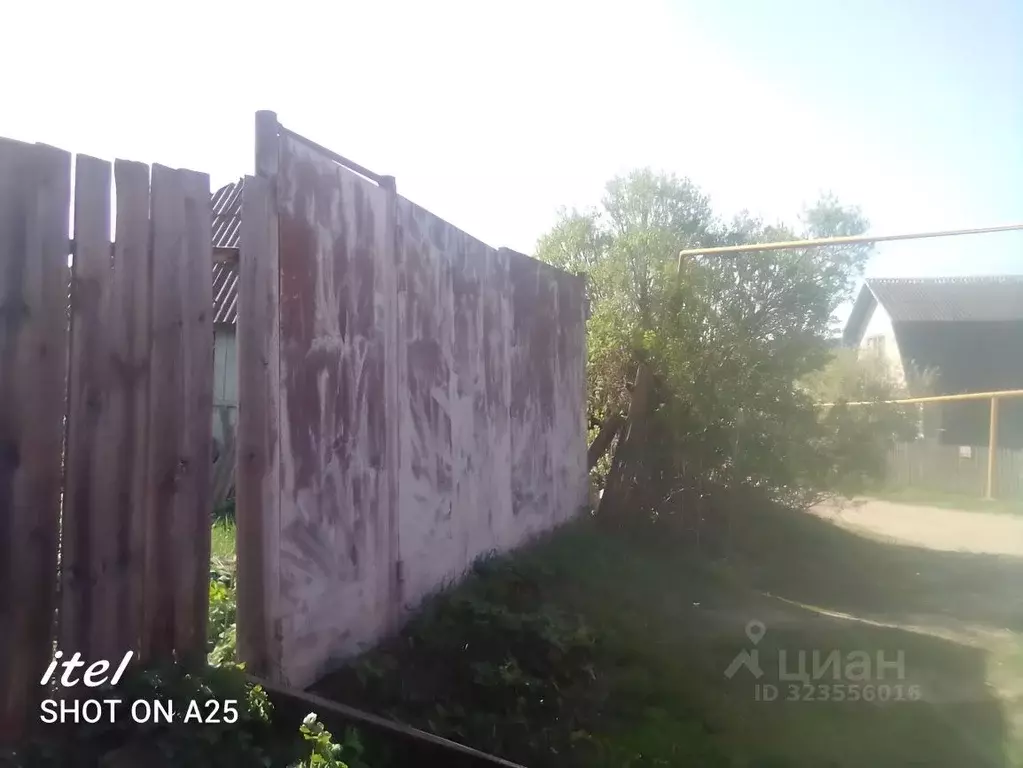 Участок в Воронежская область, Семилукское с/пос, с. Ендовище ул. ... - Фото 2