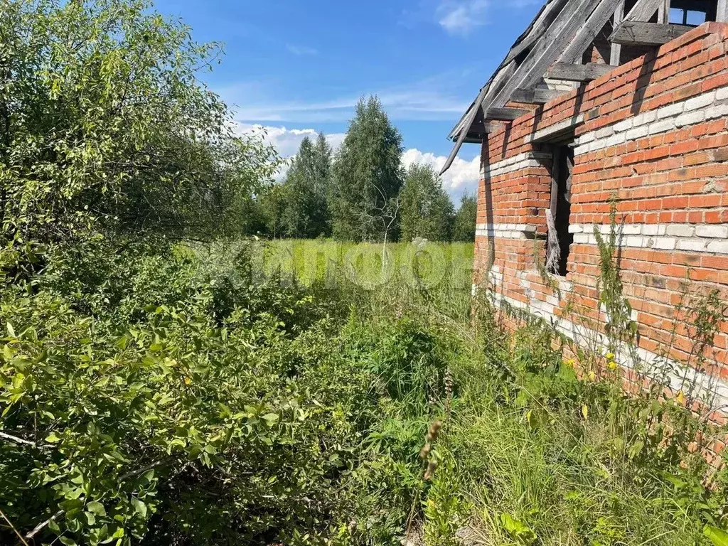 Участок в Новосибирская область, Тогучинский район, Инской узел ... - Фото 1