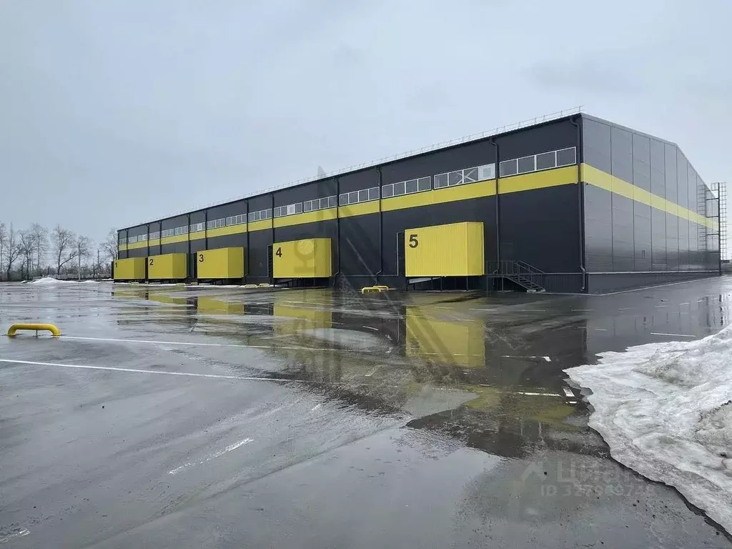 Производственное помещение в Воронежская область, с. Новая Усмань ... - Фото 2