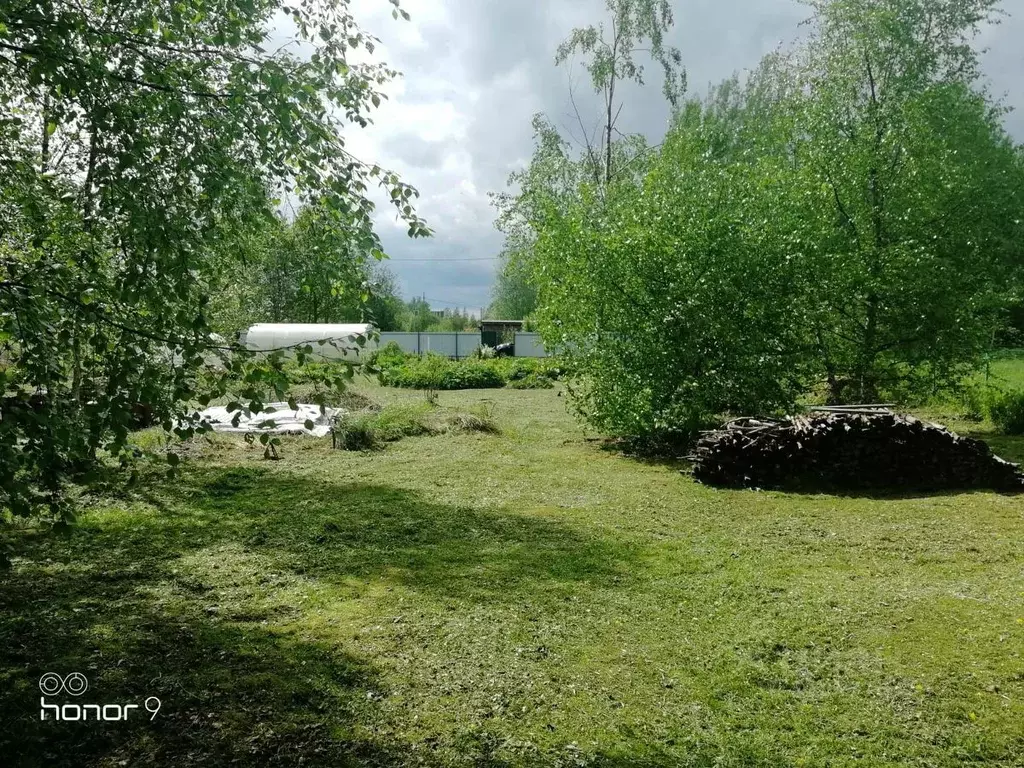 Участок в Новгородская область, Новгородский район, Ермолинское с/пос, ... - Фото 2