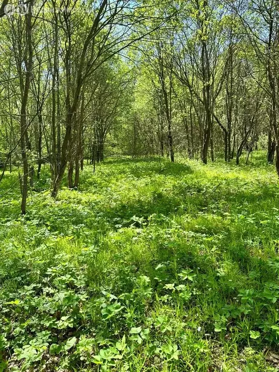 Участок в Московская область, городской округ Серпухов, деревня Мокрое ... - Фото 0