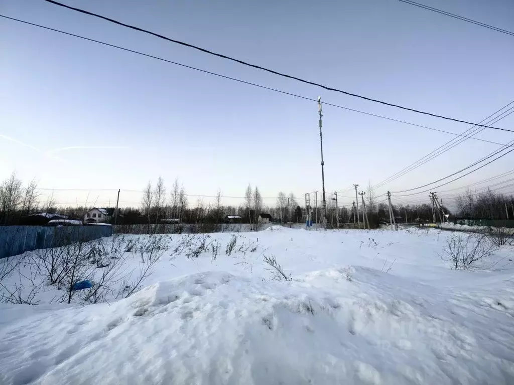 Участок в Московская область, Раменский муниципальный округ, 30390 ... - Фото 1