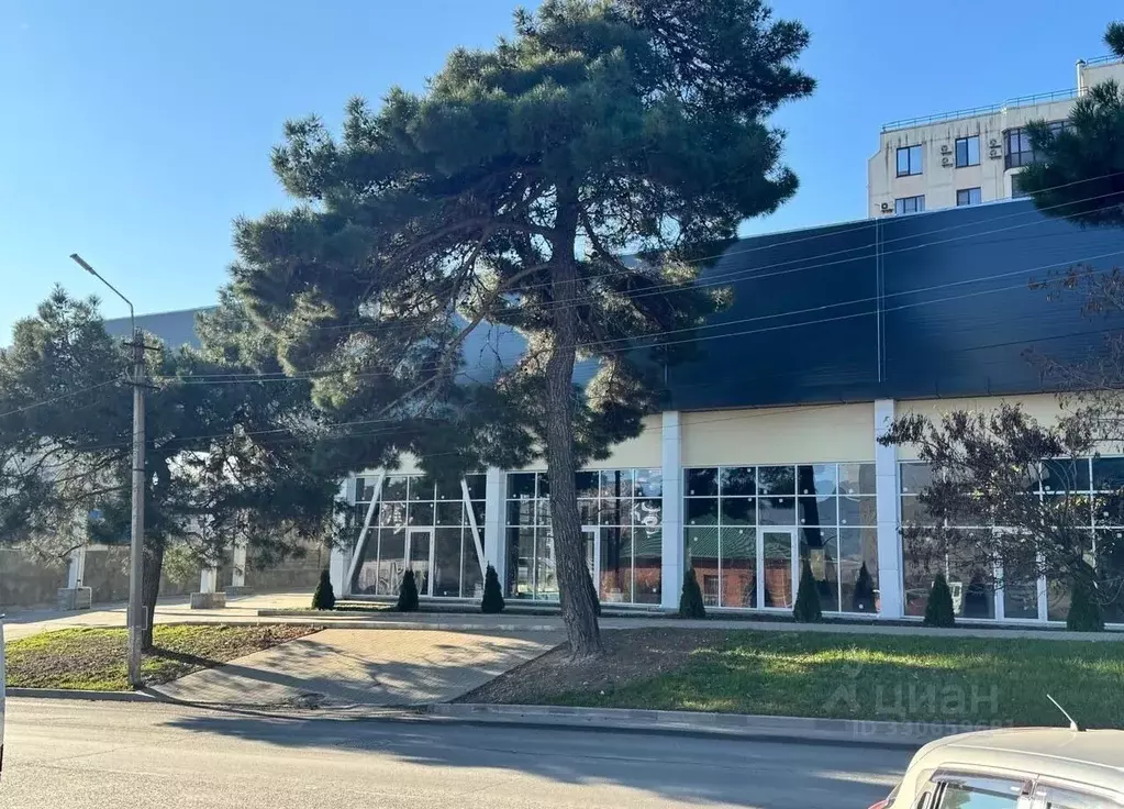 Помещение свободного назначения в Краснодарский край, Новороссийск ул. ... - Фото 2