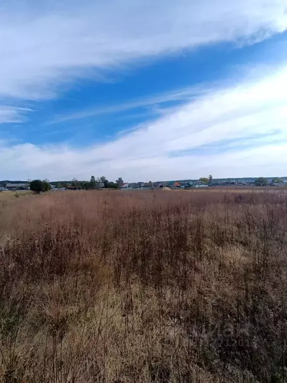 Участок в Калужская область, Перемышльский район, Корекозево с/пос, с. ... - Фото 2