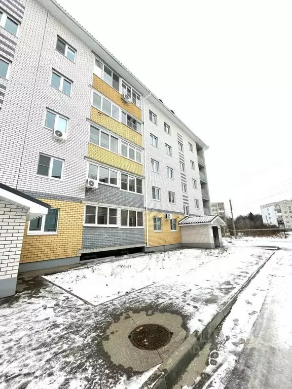 1-к кв. Нижегородская область, Балахна ул. Пирогова, 8 (30.7 м) - Фото 1