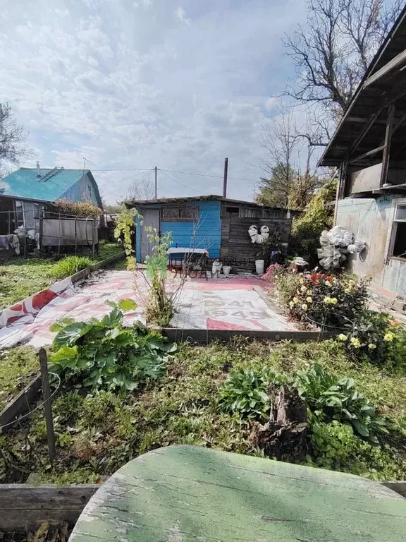 Участок в Хабаровский край, Хабаровский район, Тополевское с/пос, с. ... - Фото 1