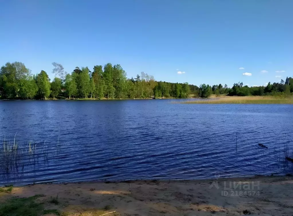 Участок в Ленинградская область, Приозерский район, Мельниковское ... - Фото 0