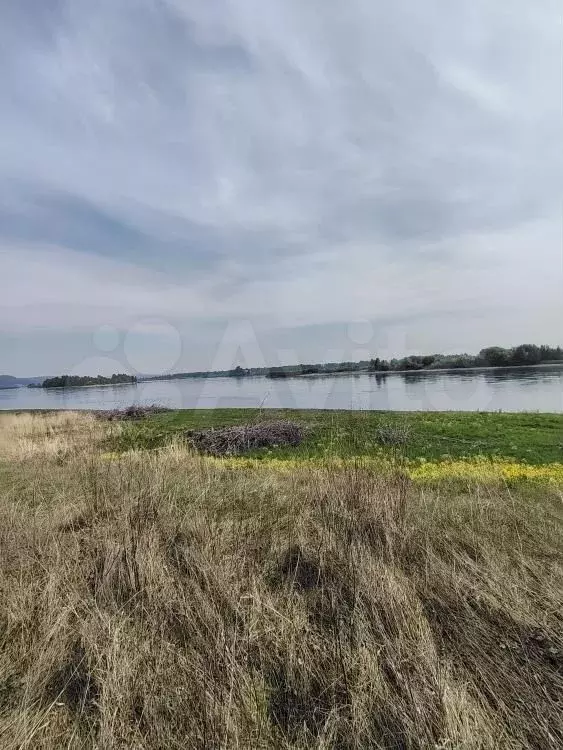 Участок 20 сот. (СНТ, ДНП) - Фото 1
