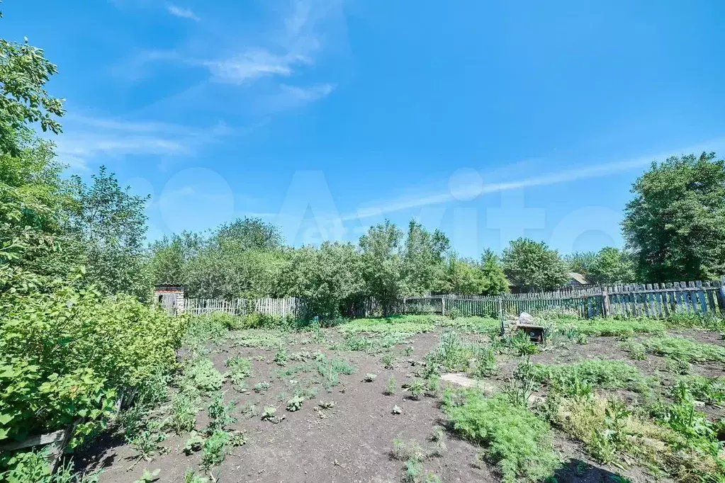 Участок 3,3 сот. (СНТ, ДНП) - Фото 1