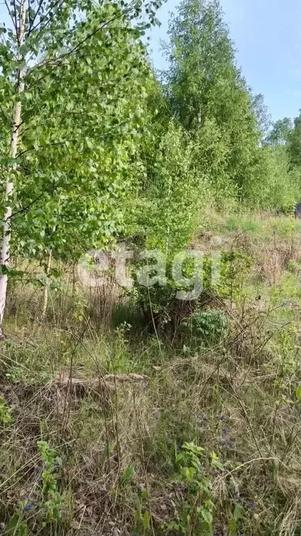 участок в красноярский край, красноярск родничок снт, (6.0 сот.) - Фото 1