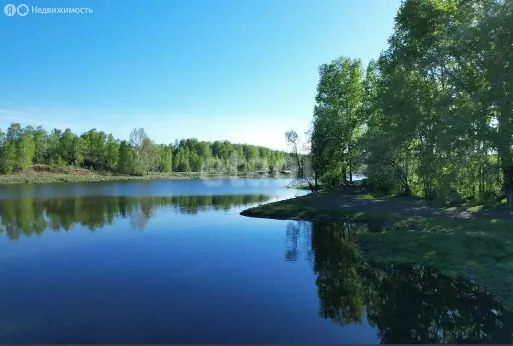 Участок в Майминский район, село Подгорное, улица Прибрежная (14 м) - Фото 2