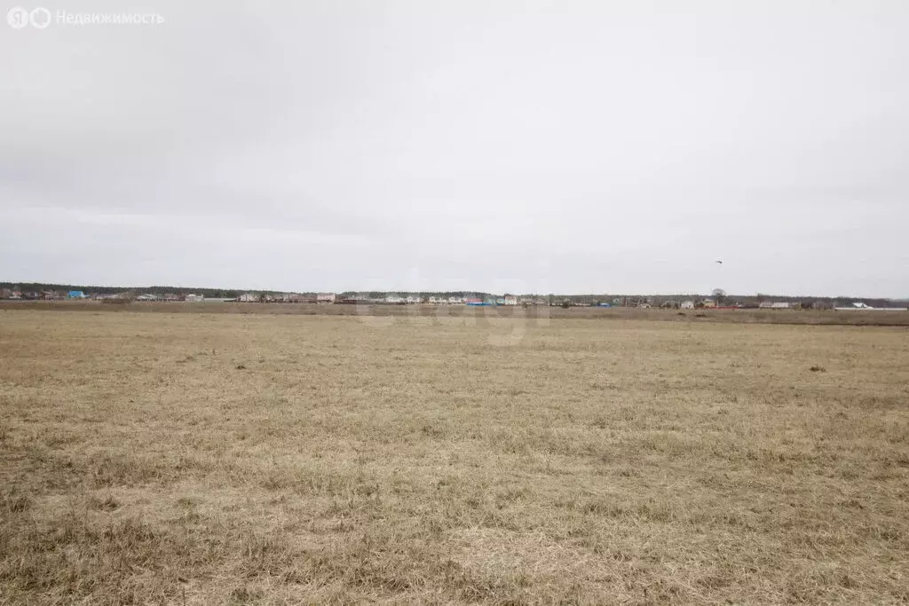 Участок в Калужская область, Дзержинский муниципальный округ, село ... - Фото 2