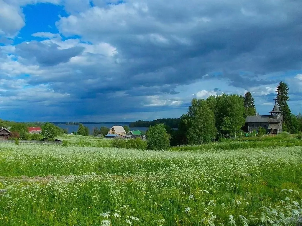 Участок в Ленинградская область, Гатчинский муниципальный округ, д. ... - Фото 1