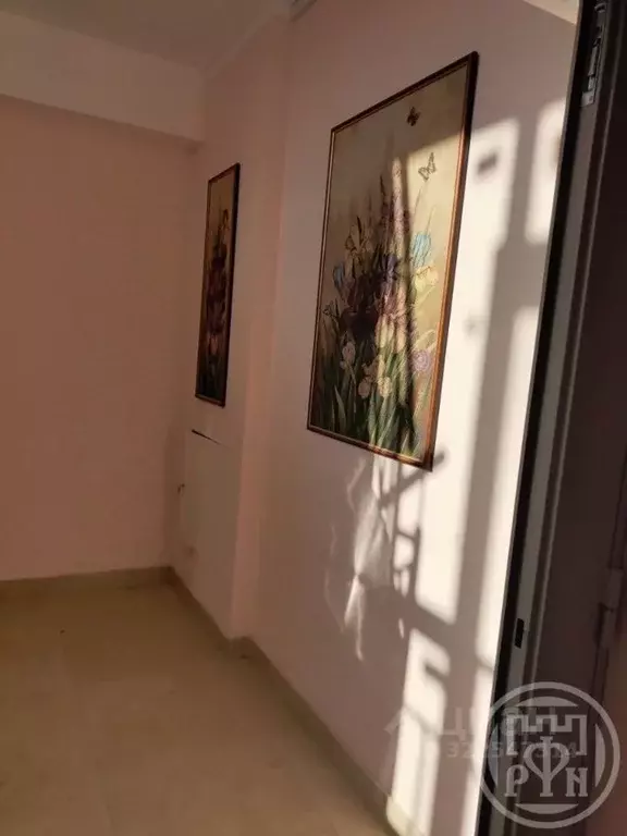 2-к кв. Санкт-Петербург, Санкт-Петербург, Петергоф ул. Аврова, 41 ... - Фото 2