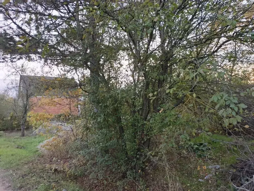 Участок в Краснодарский край, Северский район, Афипское городское ... - Фото 2