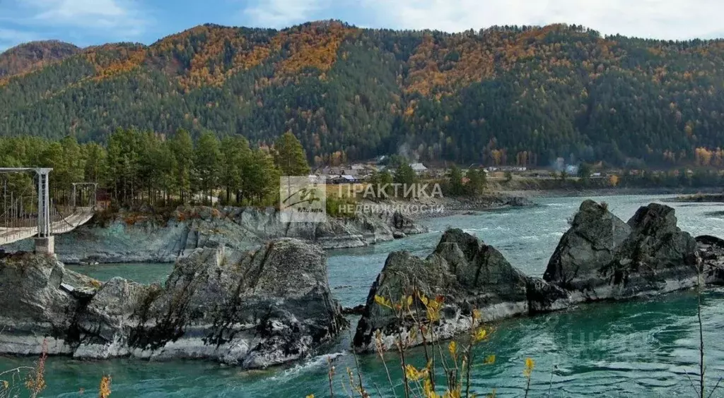 Участок в Алтай, Чемальский район, Элекмонарское с/пос, с. Элекмонар ... - Фото 1