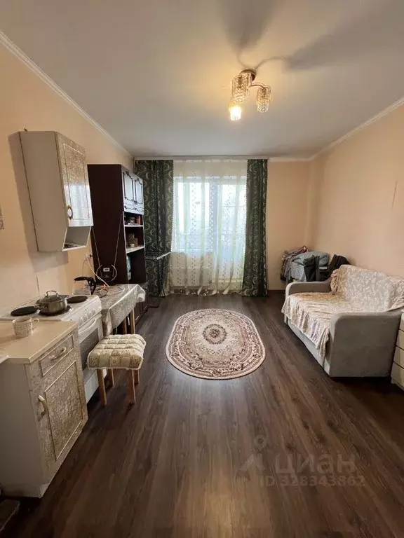 Студия Московская область, Шатура ул. Радченко, 12 (26.0 м) - Фото 1