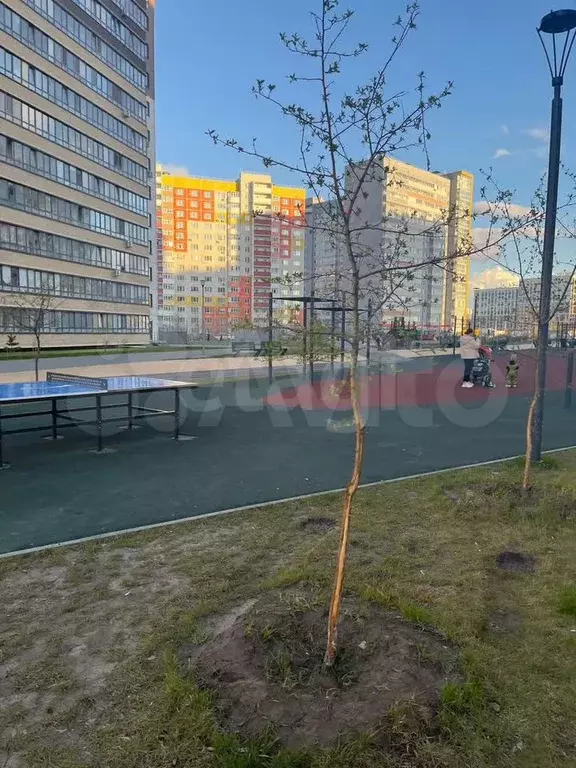 Квартира-студия, 27 м, 1/15 эт. - Фото 0