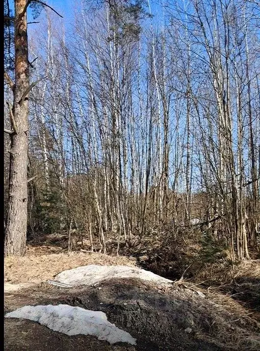 Участок в Московская область, Лосино-Петровский городской округ, д. ... - Фото 1
