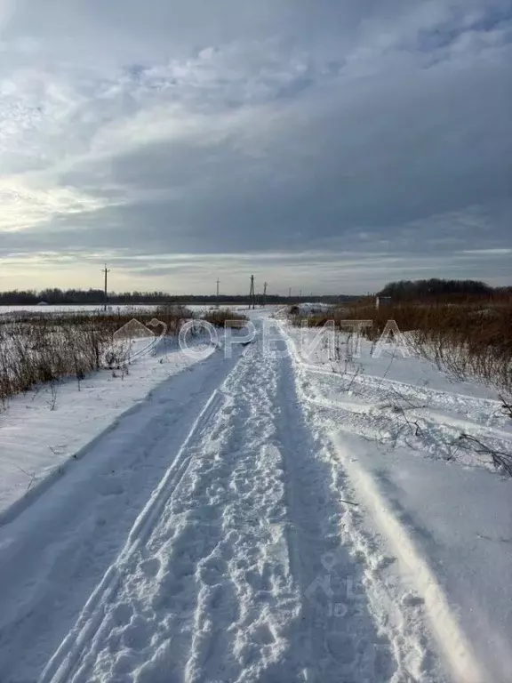 Участок в Тюменская область, Тюменский район, с. Горьковка Сибирская ... - Фото 0