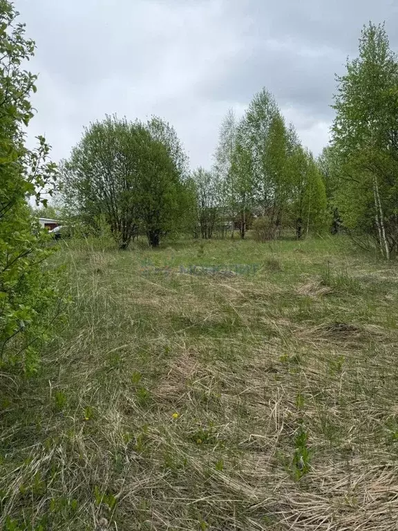 Участок в Нижегородская область, с. Дивеево ул. Дружная (10.3 сот.) - Фото 0