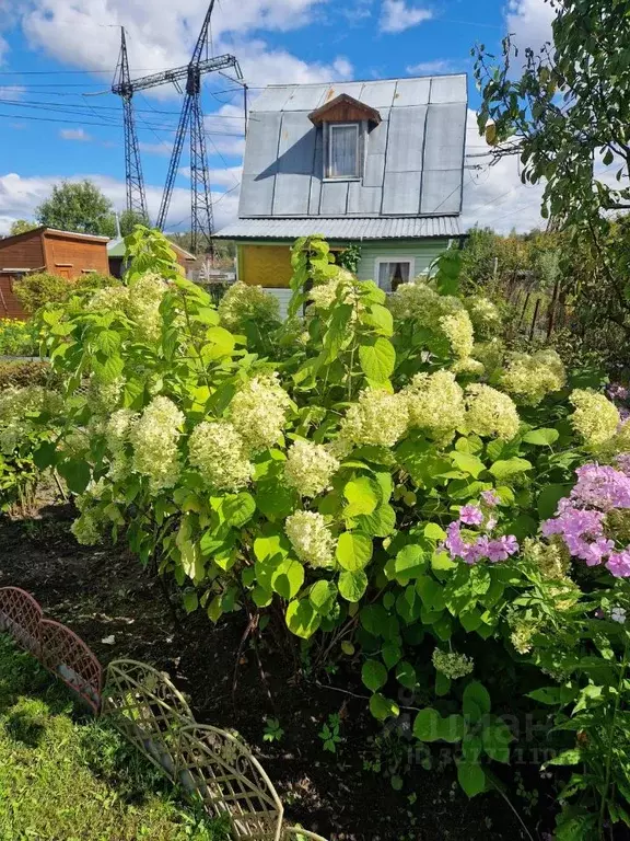 Дом в Московская область, Богородский городской округ, Березка СНТ 196 ... - Фото 1