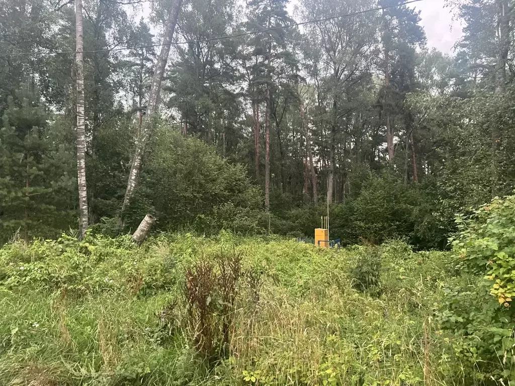 Участок в Смоленская область, Смоленск ул. 2-я Дачная (15.0 сот.) - Фото 1