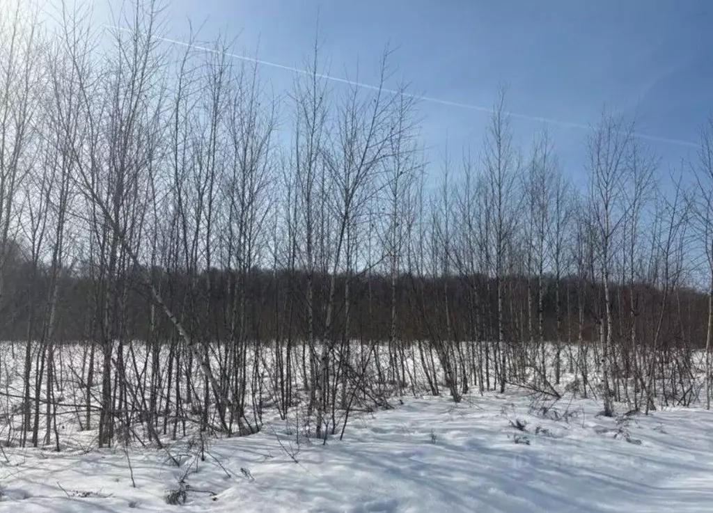 Участок в Московская область, Бронницы  (10.0 сот.) - Фото 2