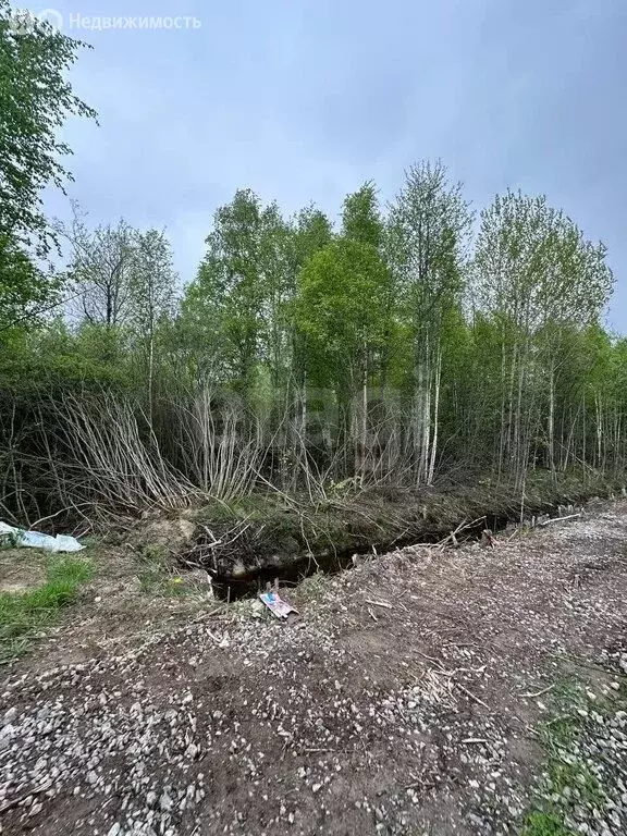 Участок в Шлиссельбург, КП Нотебург (12 м) - Фото 2