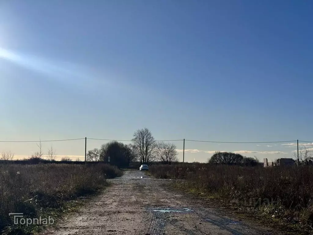 Участок в Калининградская область, Гурьевский муниципальный округ, ... - Фото 2