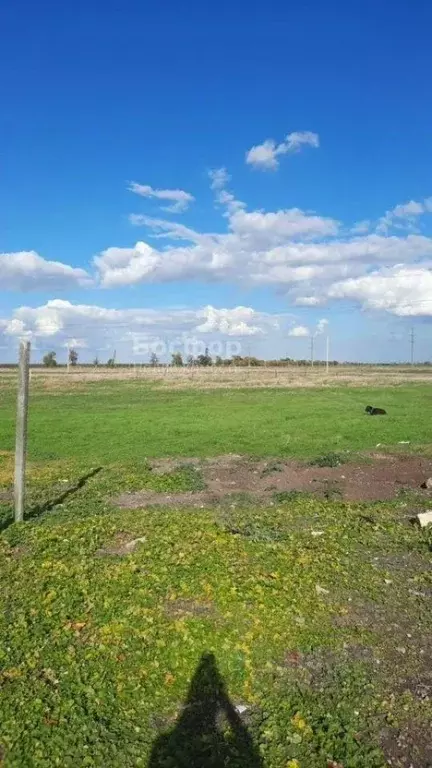 Участок в Крым, Кировский район, с. Приветное ул. Чехова (25.0 сот.) - Фото 2