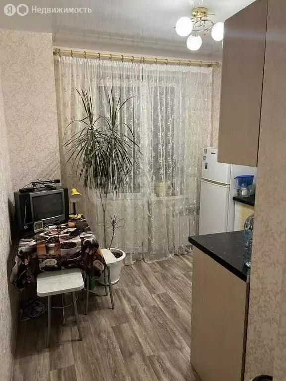1-комнатная квартира: Вологда, Ярославская улица, 42 (27.6 м) - Фото 1