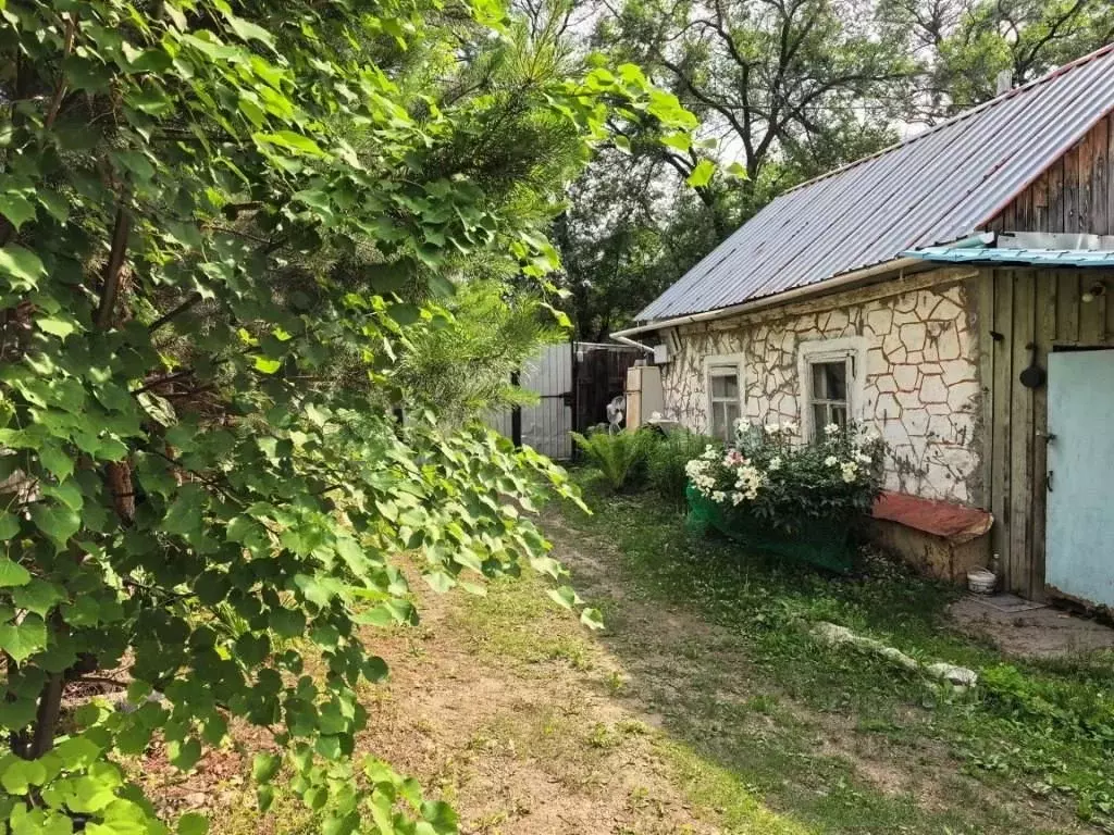 Дом в Амурская область, Благовещенск Загородный пер. (25 м) - Фото 2