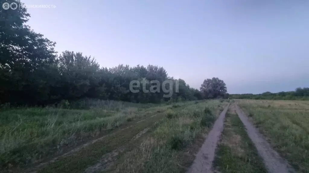Участок в Хохольский район, село Борщёво (981.5 м) - Фото 1
