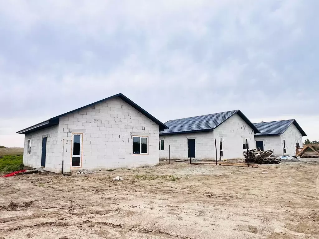 Дом в Алтайский край, Барнаул городской округ, Поселок Казенная заимка ... - Фото 1