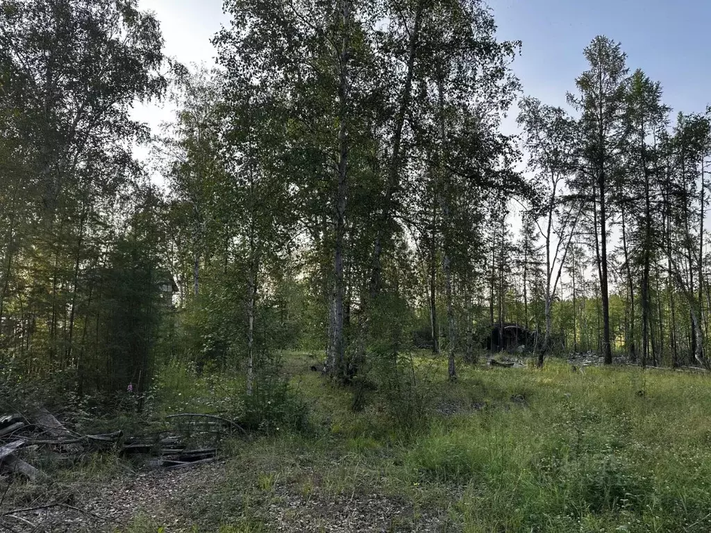 Участок в Саха (Якутия), Якутск городской округ, с. Маган  (12.0 сот.) - Фото 1