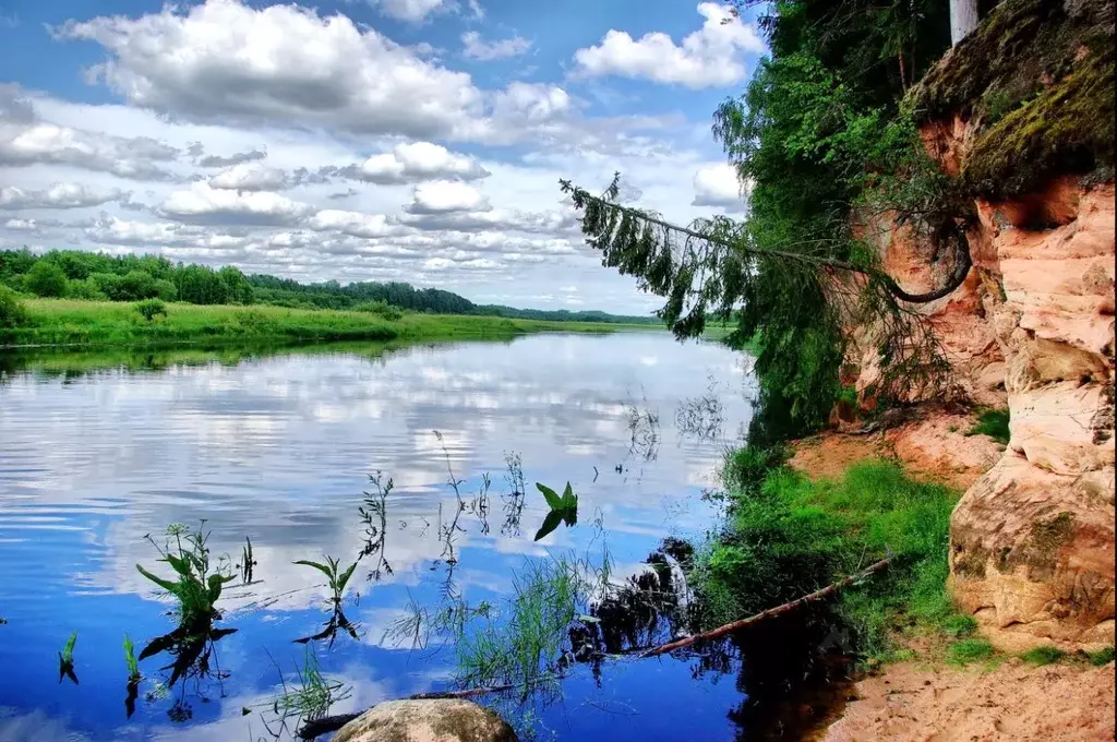 1-к кв. Ленинградская область, Гатчинский район, Сиверский городской ... - Фото 0
