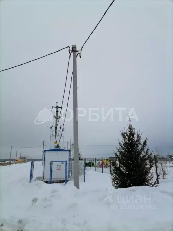 Участок в Тюменская область, Тюменский район, с. Каменка, Завидово кп ... - Фото 1