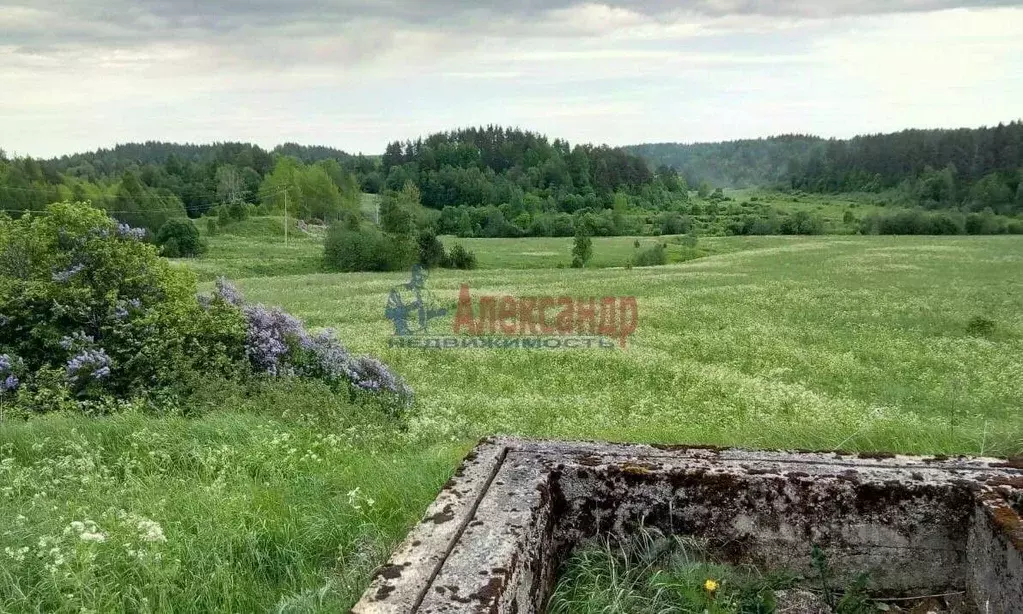 Участок в Карелия, Лахденпохский район, Хийтольское с/пос, пос. ... - Фото 1