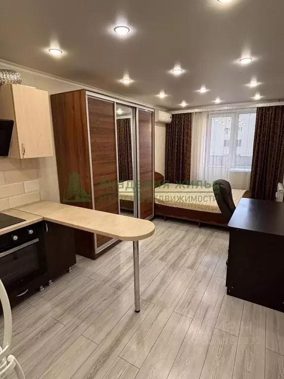 Студия Саратовская область, Саратов Огородная ул., 155 (27.0 м) - Фото 2