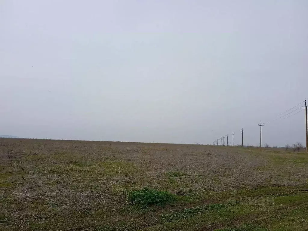 Участок в Крым, Первомайское пгт  (1000.0 сот.) - Фото 1