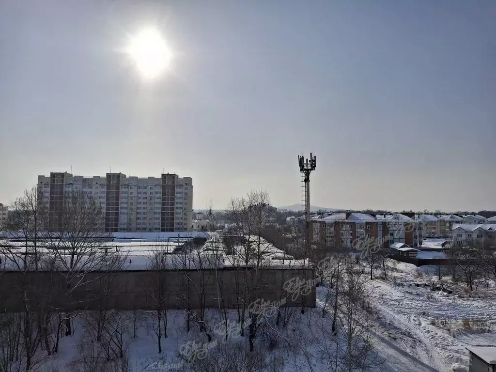 2-к кв. Еврейская автономная область, Биробиджан Парковая ул., 6к1 ... - Фото 1