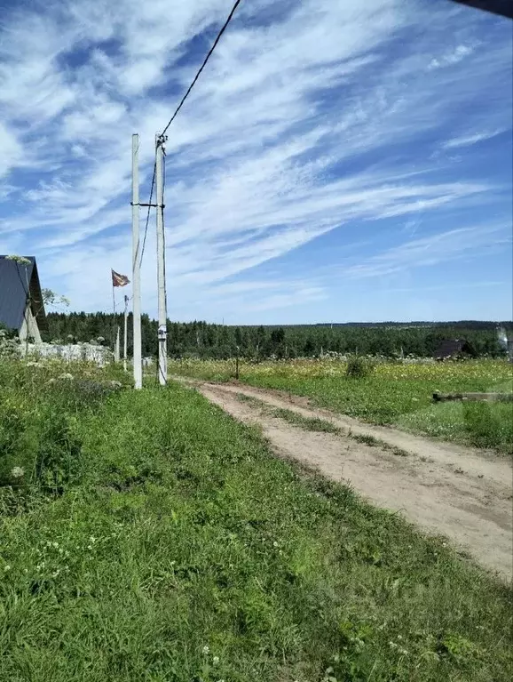 Участок в Пермский край, Пермский муниципальный округ, Урочище Россохи ... - Фото 2