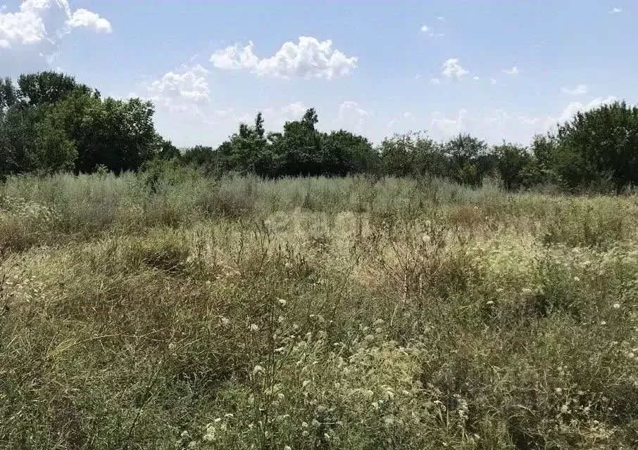 Участок в Ростовская область, Аксайский район, Мишкинская ст-ца  (12.0 ... - Фото 1