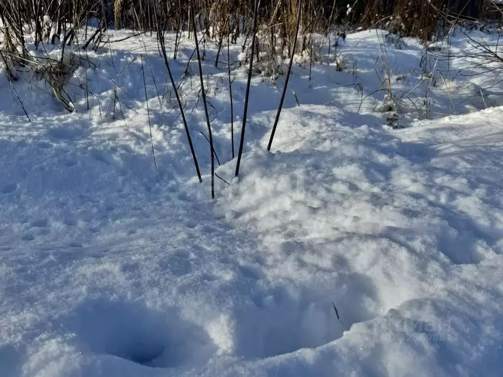 Участок в Белгородская область, Белгородский район, Никольское с/пос, ... - Фото 0