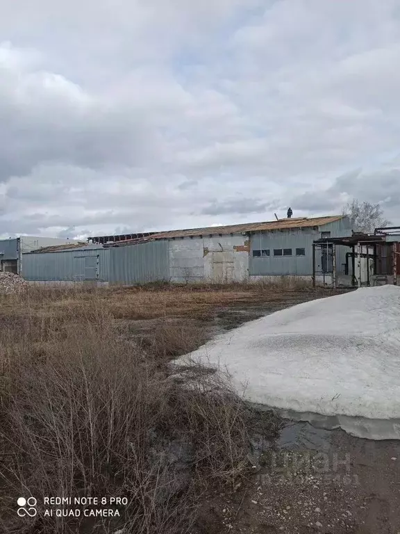 Помещение свободного назначения в Томская область, Томский район, ... - Фото 1