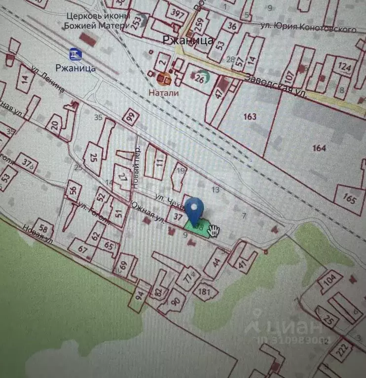 Участок в Брянская область, Жуковский муниципальный округ, с. Ржаница ... - Фото 1