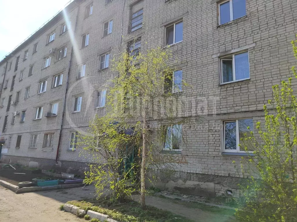2-к кв. Курганская область, Курган Красномаячная ул., 62 (23.0 м) - Фото 0