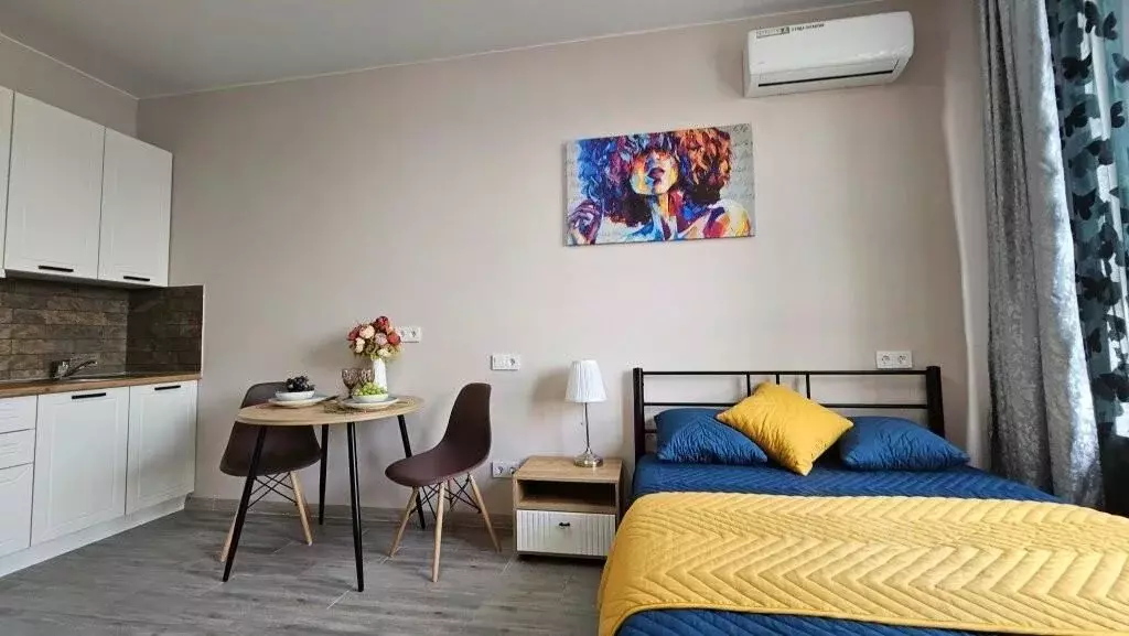 1-к кв. Московская область, Мытищи ул. Колпакова, 44 (23.0 м) - Фото 1